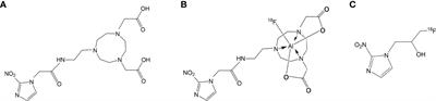 Synthesis and Preliminary Evaluation of a Novel 18F-Labeled 2-Nitroimidazole Derivative for Hypoxia Imaging